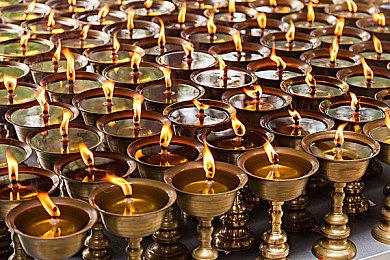 THQ将在科隆展上展示四款全新游戏